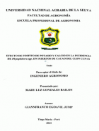 Portada local
