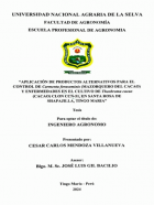 Portada local