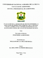 Portada local