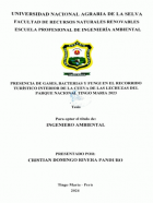 Portada local