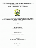 Portada local