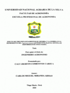Portada local