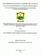 Portada local