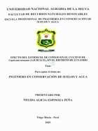 Portada local