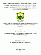 Portada local