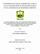 Portada local