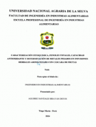 Portada local