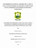Portada local
