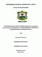 Portada local