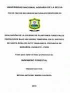Portada local