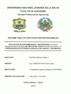 Portada local