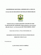 Portada local