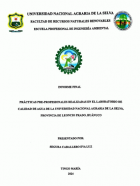 Portada local
