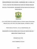 Portada local