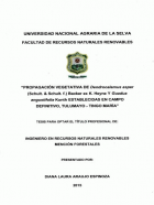 Portada local