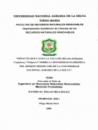 Portada local