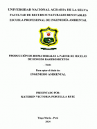 Portada local