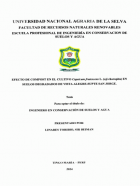 Portada local