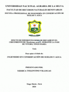 Portada local
