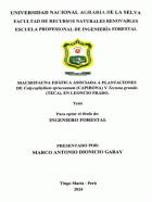 Portada local