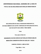 Portada local