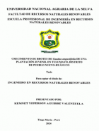 Portada local