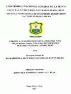 Portada local