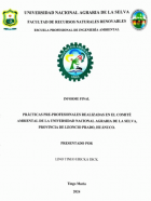 Portada local
