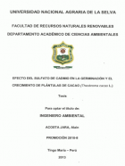 Portada local