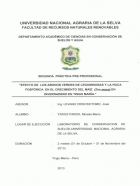 Portada local