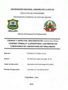 Portada local