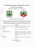 Portada local