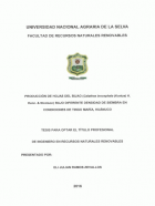 Portada local