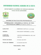 Portada local