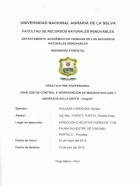 Portada local