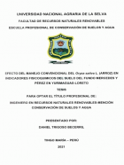 Portada local