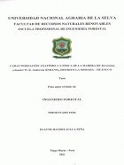 Portada local