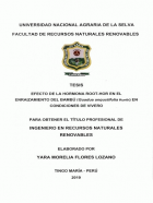Portada local