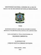 Portada local