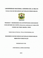 Portada local