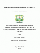 Portada local