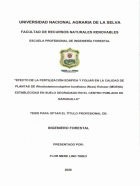 Portada local
