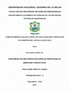 Portada local