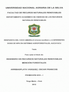 Portada local