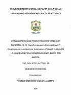 Portada local