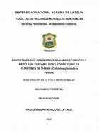 Portada local