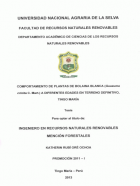 Portada local