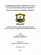 Portada local