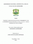 Portada local
