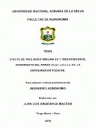 Portada local